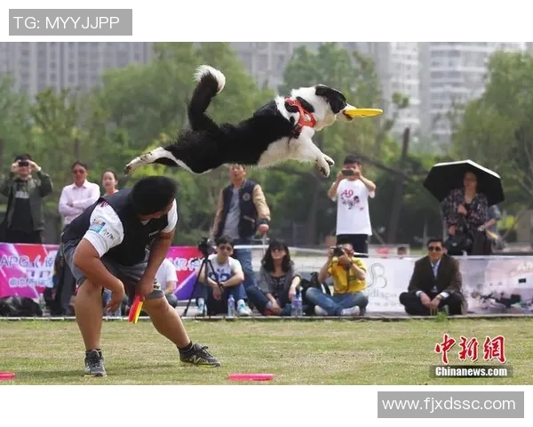 南京飞盘队实力崛起荣登全国个人能力排行榜第八名