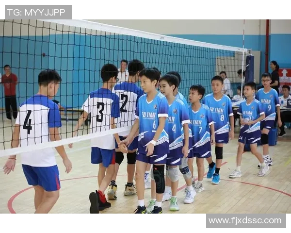 深圳排球队创历史新高排球速度排名引发热议