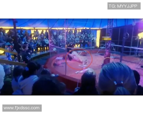 深入分析WE战队进攻战术及其在比赛中的应用效果